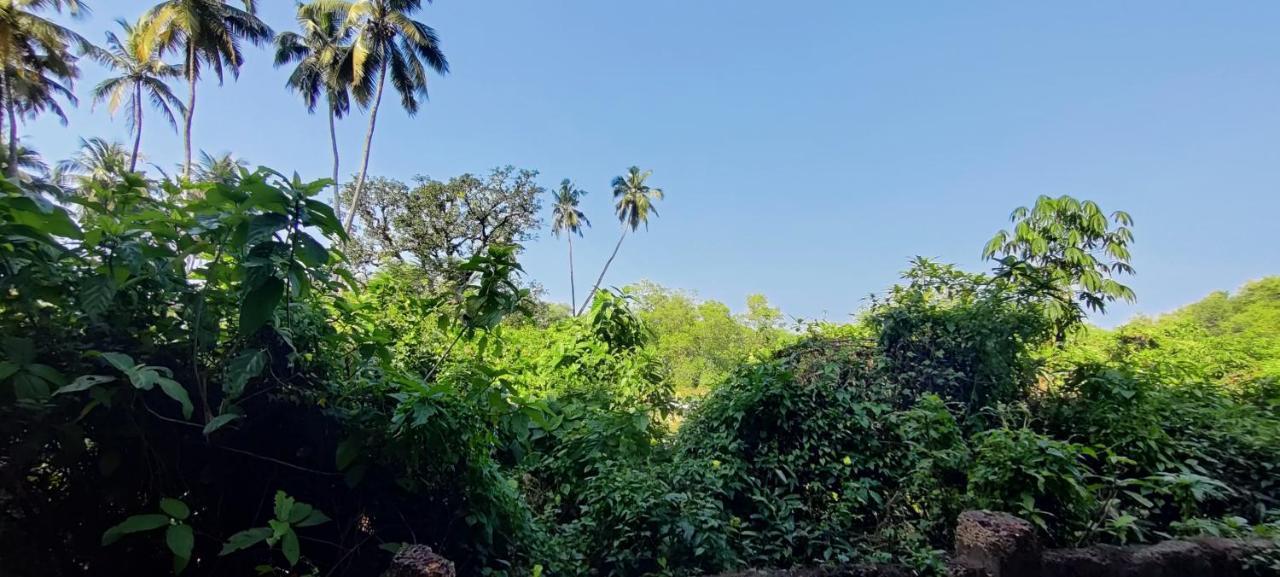 J-House, Spacious Apartments With Balconies, Thalassa 1Min Away Siolim Exterior photo